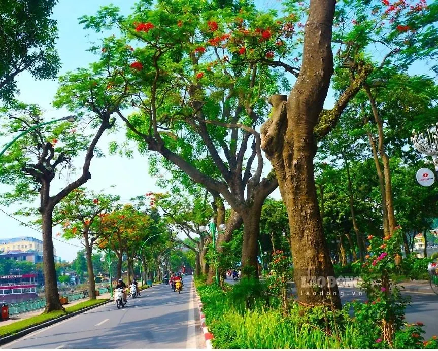 Da Tree Homestay-1